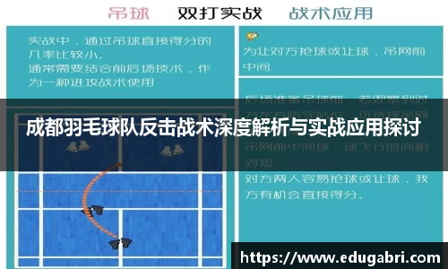 成都羽毛球队反击战术深度解析与实战应用探讨